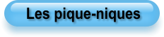 Les pique-niques