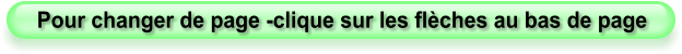 Pour changer de page -clique sur les flèches au bas de page