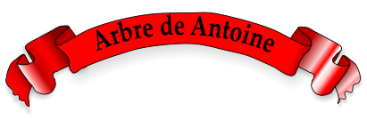 Arbre de Antoine