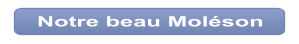 Notre beau Moléson
