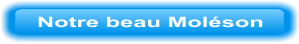 Notre beau Moléson