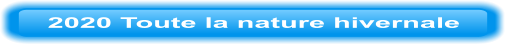 2020 Toute la nature hivernale