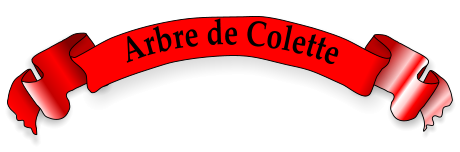 Arbre de Colette