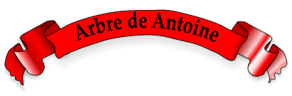 Arbre de Antoine