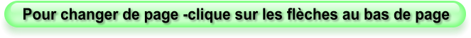 Pour changer de page -clique sur les flèches au bas de page