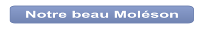 Notre beau Moléson